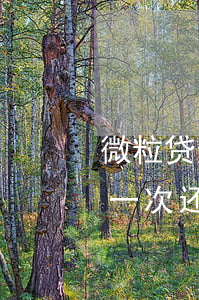 微粒贷逾期多久能通知(微粒贷逾期多久会让一次还清)