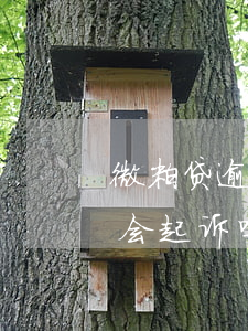 微粒贷逾期多少天会被银行起诉?（大粒贷逾期会起诉吗）