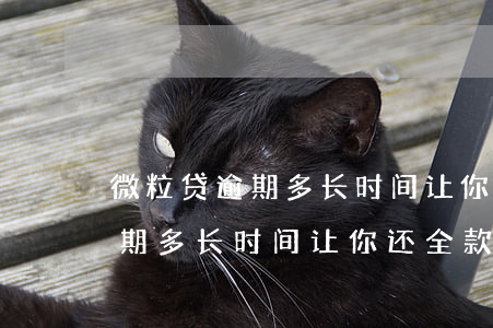 微粒贷逾期多长时间让你还全款-微粒贷逾期多长时间让你还全款呢
