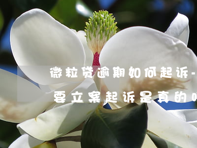 微粒贷逾期如何起诉-微粒贷逾期2年了,说要立案起诉是真的吗