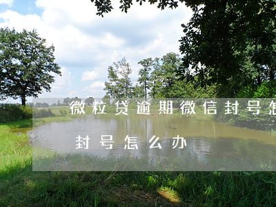 微粒贷逾期微信封号怎么办(微粒贷逾期微信封号怎么办)