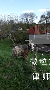 微粒贷逾期收到律师函短信(微粒贷逾期收到律师函短信)