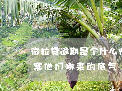微粒贷逾期是个什么情况(微粒贷逾期说要立案他们哪来的底气?)
