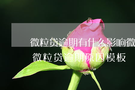 微粒贷逾期有什么影响?微粒贷逾期的后果!（微粒贷逾期原因模板）