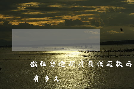 微粒贷逾期有最低还款吗(微粒贷最多逾期的有多久)