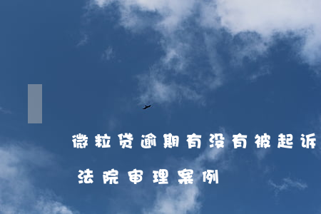 微粒贷逾期有没有被起诉的案例(微粒贷逾期法院审理案例)
