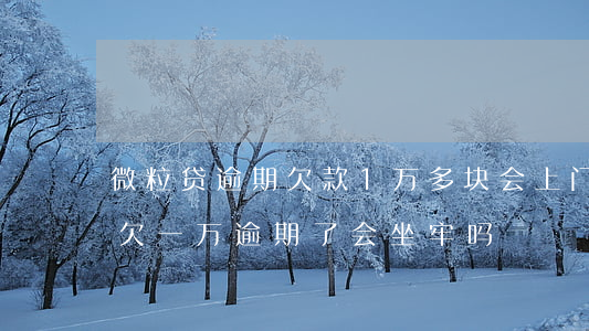 微粒贷逾期欠款1万多块会上门吗-微粒贷欠一万逾期了会坐牢吗