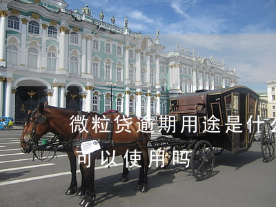 微粒贷逾期用途是什么-微粒贷逾期以后还可以使用吗