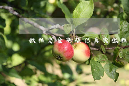 微粒贷逾期短信真实(微粒贷逾期短信图片)