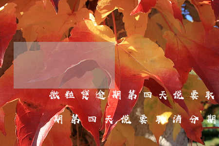 微粒贷逾期第四天说要取消分期-微粒贷逾期第四天说要取消分期是真的吗
