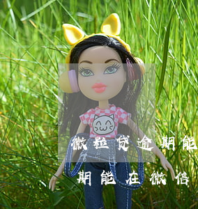 微粒贷逾期能在微信零钱扣款吗-微粒贷逾期能在微信零钱扣款吗安全吗