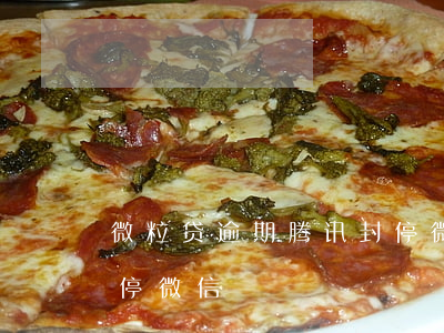 微粒贷逾期腾讯封停微信（微粒贷逾期腾讯封停微信）