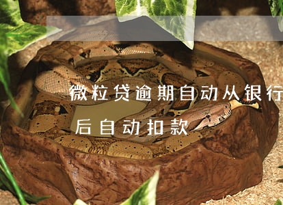 微粒贷逾期自动从银行卡里扣钱(微粒贷逾期后自动扣款)