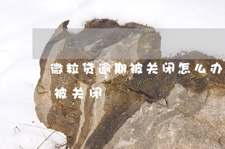微粒贷逾期被关闭怎么办(微粒贷什么情况会被关闭)