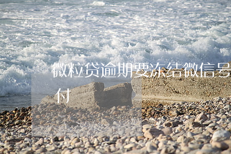 微粒贷逾期要冻结微信号（微粒贷逾期微信支付）