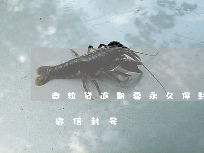 微粒贷逾期要永久停封我微信-微粒贷逾期 微信 封号