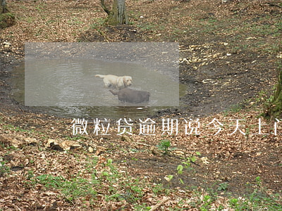 微粒贷逾期说今天上门是真的吗-