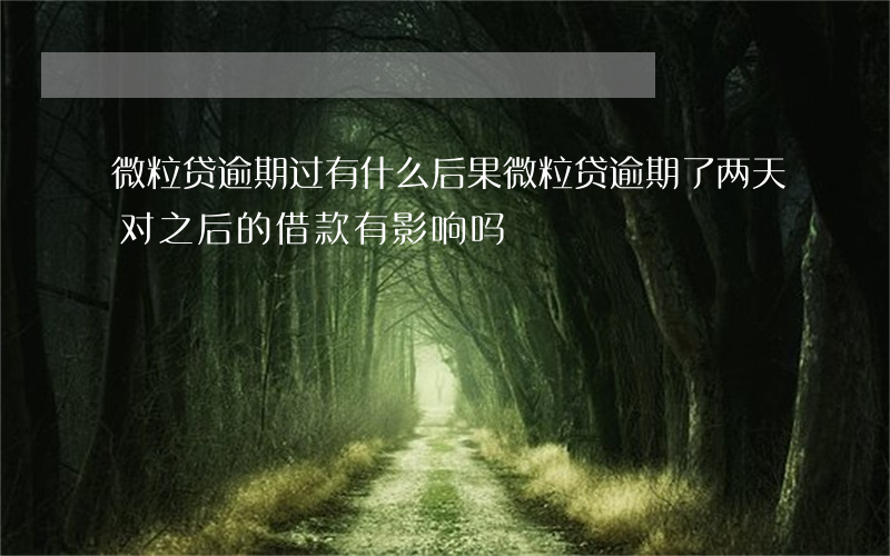 微粒贷逾期过有什么后果(微粒贷逾期了两天对之后的借款有影响吗)
