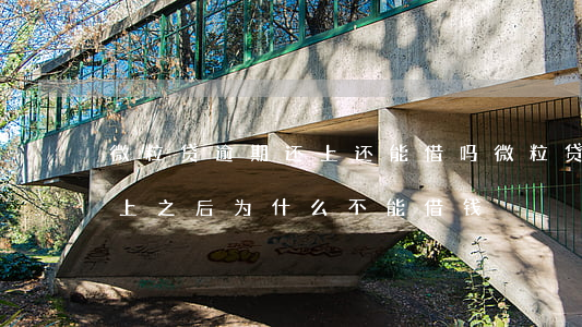 微粒贷逾期还上还能借吗(微粒贷逾期两天还上之后为什么不能借钱)