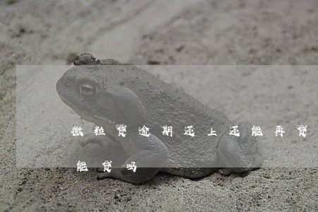 微粒贷逾期还上还能再贷么(微粒贷还款了还能贷吗)