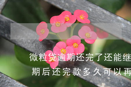微粒贷逾期还完了还能继续用么-微粒贷逾期后还完款,多久可以再借款?