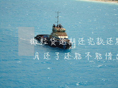 微粒贷逾期还完款还能借(微粒贷逾期了一个月还了还能不能借出来)