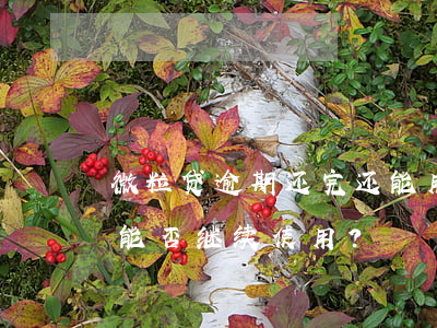 微粒贷逾期还完还能用吗，微粒贷逾期还款后，能否继续使用？