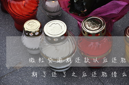 微粒贷逾期还款以后还能再借吗-微粒贷逾期了还了之后还能借么