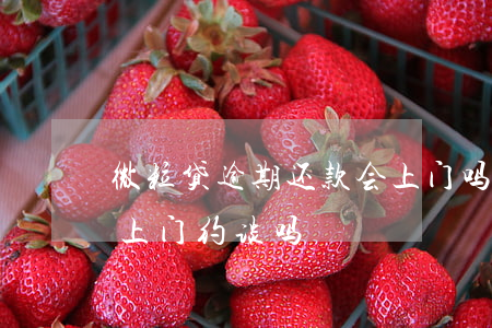 微粒贷逾期还款会上门吗(微粒贷借款逾期会上门约谈吗?)
