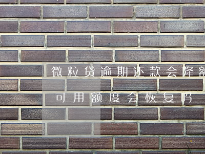 微粒贷逾期还款会降额吗(微粒贷逾期还款后,可用额度会恢复吗)