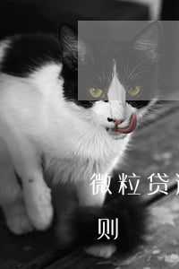 微粒贷逾期还款怎样算息(微粒贷逾期利息规则)