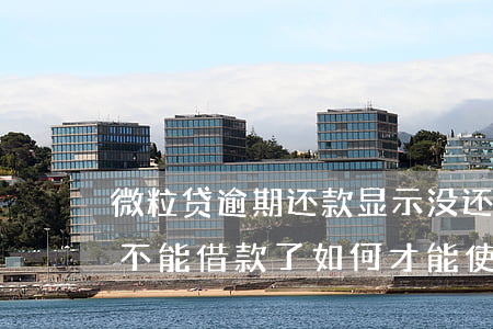 微粒贷逾期还款显示没还上(微粒贷逾期还清不能借款了,如何才能使用)