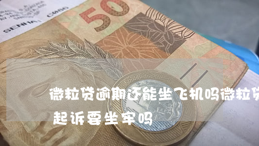 微粒贷逾期还能坐飞机吗(微粒贷逾期不还被起诉要坐牢吗?)