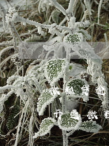 微粒贷逾期还能开信用卡吗(微信还信用卡会开通微粒贷吗)