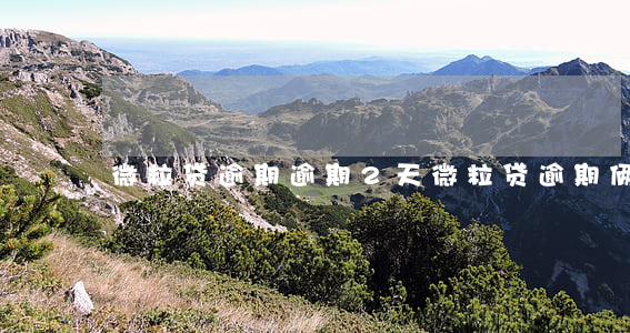微粒贷逾期逾期2天(微粒贷逾期俩天)