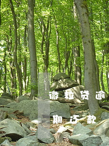 微粒贷逾期重新协商分期(微粒贷怎么协商延期还款)
