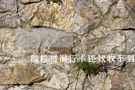 微粒贷银行卡还款收不到验证码-