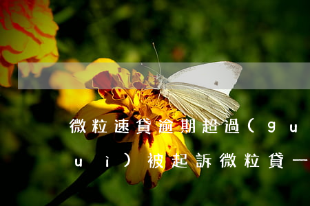 微粒速貸逾期超過(guò)多少錢會(huì)被起訴(微粒貸一萬(wàn)多逾期多久起訴)