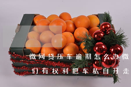 微网贷压车逾期怎么办(微贷网车贷逾期了,他们有权利把车私自开走吗?)