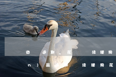 微貨逾期_花唄無法使用(花唄有產(chǎn)品逾期無法使用花唄怎么回事)