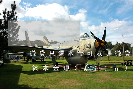微貸只還本金可以嗎(微貸網(wǎng)還夠本金現(xiàn)在不想還了)