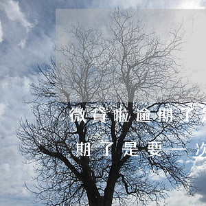 微貸啦逾期了是要一次性還清嗎-微貸啦逾期了是要一次性還清嗎是真的嗎