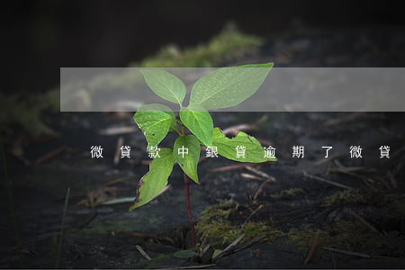 微貸款中銀貸逾期了(微貸最新消息)
