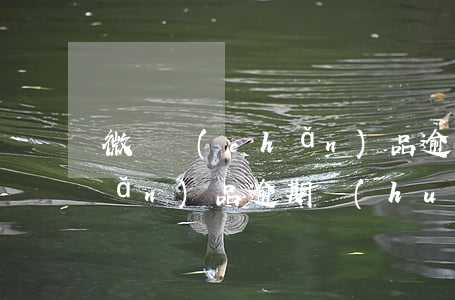 微貸產(chǎn)品逾期-微貸產(chǎn)品逾期,會(huì)影響老公的微捷貨嗎