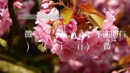 微貸網(wǎng)不逾期有風(fēng)險(xiǎn)嗎(微貸網(wǎng)要不要報(bào)警)
