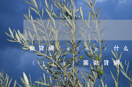 微貸網(wǎng)什么時(shí)候結(jié)案（微貸網(wǎng)多久起訴）