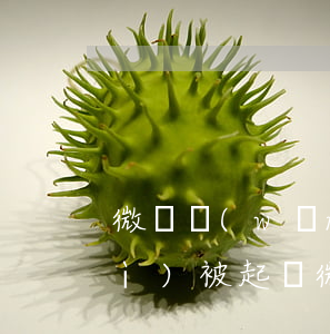 微貸網(wǎng)可以逾期多久會(huì)被起訴 微貸網(wǎng)會(huì)起訴嘛