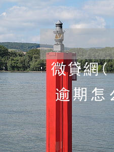 微貸網(wǎng)怎樣處理逾期的車(車貸逾期怎么處理?)