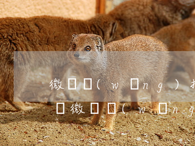 微貸網(wǎng)抵押逾期沒(méi)還(微貸網(wǎng)抵押逾期沒(méi)還)