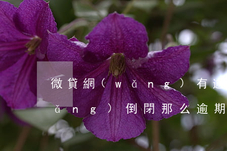 微貸網(wǎng)有逾期的嗎(微貸網(wǎng)倒閉那么逾期的人是不是不用還了)